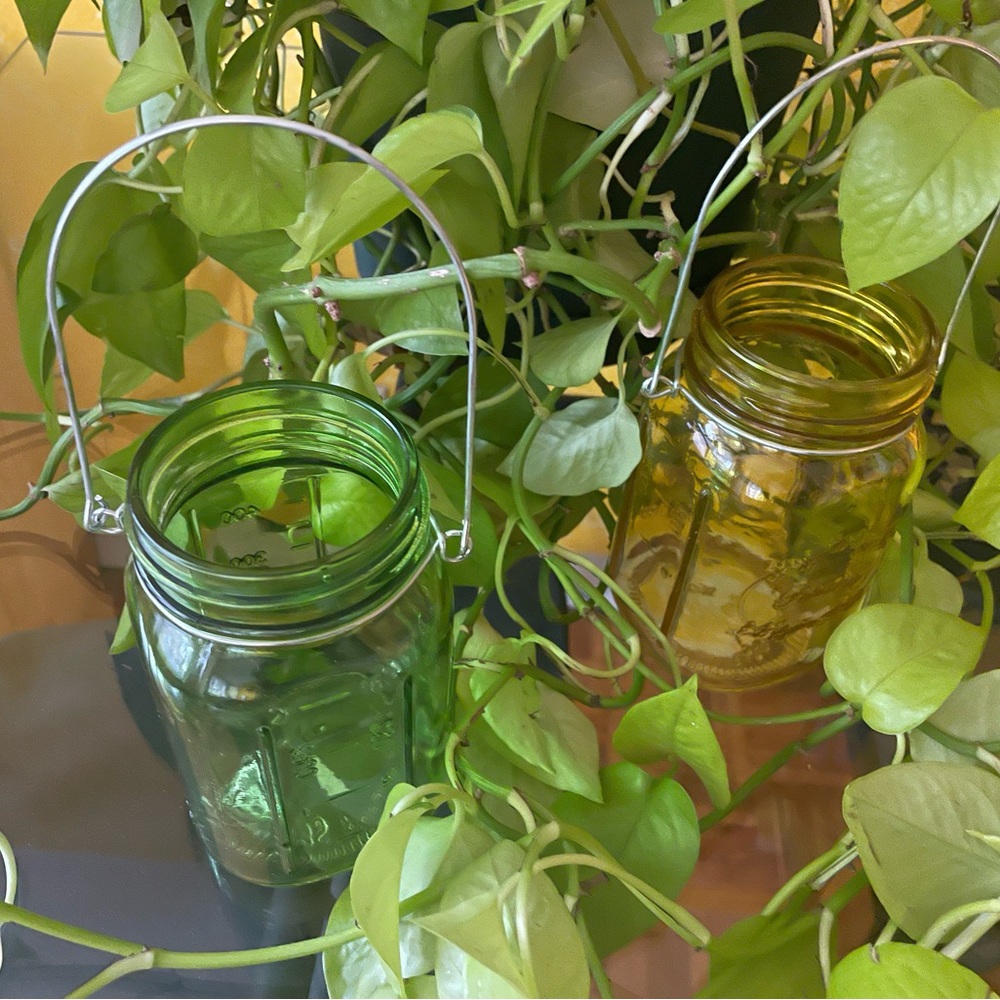 Small glass flower pots